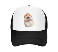 RQLNBOBZ Baseball Cap Scared Hamster Meme Fashion Casual Mesh Adjustable Hat Hip Hop Summer Unisex Baseball Hats Polychromatic