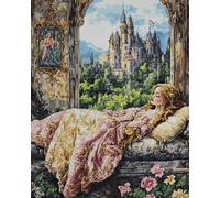 Rqwybcaxn Cross Stitch Kits Stamped,Sleeping Beauty Printed Pattern 14Ct 15.7X19.7Inch (40X50Cm) DIY Embroidery Kit