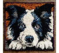 Rqwybcaxn Latch Hook Kit,Border Collie Dog Pet Latch Hook Kits for Adults DIY Decorative Pillowcase Embroidery Cross Stitch Arts Craft for Home Sofa Furniture 17X17Inch