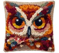 Rqwybcaxn Latch Hook Kit,Snow Owl Latch Hook Kits for Adults DIY Decorative Pillowcase Embroidery Cross Stitch Arts Craft for Home Sofa Furniture 17X17Inch