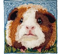 Rqwybcaxn Latch Hook Kit Unfinished Cushion Cover with Printed Canvas Guinea Pig Pattern Pillowcase Sewing Making Kits for Beginners Adults Kids Embroidery Kits Home Decoration 17X17Inch