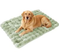 Rr tianshi Self Heating Cat Bed Mat,Extra Large Dog Bed for Indoor Self Warming Fluffy Pet Blanket without Electricity,Soft Fleece Warm Pet Cushion Calming Cat Mat Washable (45 * 75cm,Green)