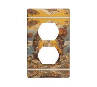 RRKDOY Ship Gang Leader Picture Dual socket wall panel household power cover durable for decorative sockets and switches