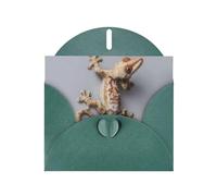 RRKDOY Stylish Tiger Climbing The Wall Printed Greeting Card With Pearl Paper For Various Occasions