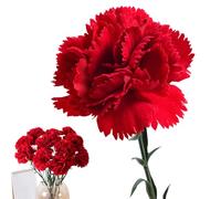 Rrlihjgu Artificial Closegrowers, Artificial Flower Carnations | Realistic Fake Floral Balls Meaningful Carnation Heads - Elegant Decorative No Flowers Watering for the
