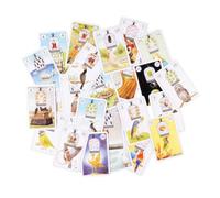 Rrlihjgu Beginner Tarot Deck | Parrot Interactive Energy Fortune Telling Toys | 38-Piece Self Discovery Tarot Cards Deck | for Beginner Family Home Daily Travel Meditation Party Birthday