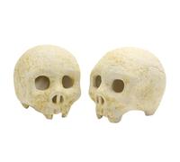 Rrlihjgu Fireproof Fireplace Skulls,Fireplace Skulls,Creepy Ceramic Human Skull Fire Pit | Horror Sculpture Skull Statue, Halloween Camp Fire Decoration for Fire Pit