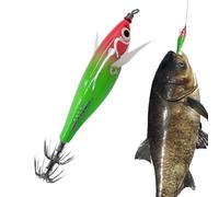 Rrlihjgu Glow in the Dark Fishing Lures - Realistic Glowing Fishing Lures Jig - Portable Box Supplies for Father, Son, Grandpa, Friends, Neighbor, Uncle