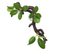 Rrlihjgu Snake Tank Decoration, Branches for Reptiles - Living Tree Branch Reptile with Leaves, Enrichment Toy, Snake Case Decoration, Snake Terrarium Decoration for Lizards, Bearded Lions