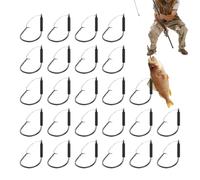 Rrlihjgu Weedless Jig Heads - Strong Strength for Wacky | 25 Pieces Carbon Steel Jig Hooks for Freshwater Fishing Equipment Pond River Sea Lake Tank and Salt Water