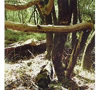 RRope - We Are You There [VINYL]