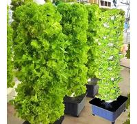 RRrawgff 15-Floor 45-Hole Hydroponic Tower Set, Aquaponics Growing System, Vertical Hydroponics System, Farm Greenhouse Hydroponic Grow System, Hydroponics Vertical Growing System for Home