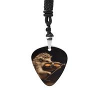 Rrtsmsgh Animal Hedgehog Music Violin Guitar Pick Necklace for Men & Women, Titanium Steel Guitar Plectrum Pendant, Music Lover Gift for Guitarists, Musicians, Rock Fans