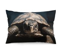 Rrtsmsgh Animal Tortoise Pillow Cover, Rectangle Throw Pillowcase with Hidden Zipper, Soft Plush Pillow Case for Sofa Bed, Living Room Decor, 12 "x20