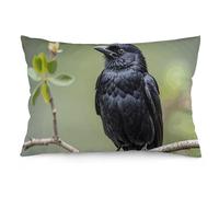 Rrtsmsgh Black Crow Birds on A Branch Pillow Cover, Rectangle Throw Pillowcase with Hidden Zipper, Soft Plush Pillow Case for Sofa Bed, Living Room Decor, 12 "x20