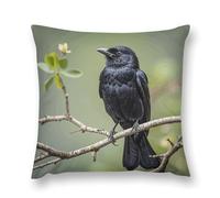 Rrtsmsgh Black Crow Birds on A Branch Pillow Covers, Square Throw Pillow Case with Hidden Zipper, Soft Double-Sided Decorative Pillowcases for Couch Sofa Bedroom Car, 12 "x12
