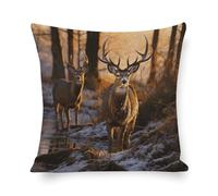 Rrtsmsgh Deers Picture Pillow Cover, Double Sided Cotton Linen Pillow Covers - Hidden Zipper Closure, Breathable Throw Pillowcase for Sofa, Bed, Couch Decor, 18"x18"