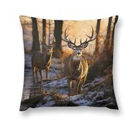 Rrtsmsgh Deers Picture Pillow Covers, Square Throw Pillow Case with Hidden Zipper, Soft Double-Sided Decorative Pillowcases for Couch Sofa Bedroom Car, 22 "x22