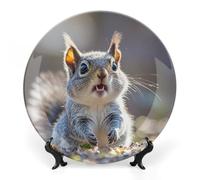 Rrtsmsgh Funny Cute Squirrel Decorative Plate for Display, 2 in 1 Set with Stand & Hook, 7inch Ceramic Decorative Plate Elegant Wall Decor Art Plates for Home Decor, Office, Entryway