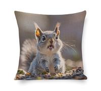 Rrtsmsgh Funny Cute Squirrel Pillow Cover, Double Sided Cotton Linen Pillow Covers - Hidden Zipper Closure, Breathable Throw Pillowcase for Sofa, Bed, Couch Decor, 20"x20"
