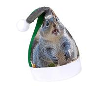 Rrtsmsgh Glitter Sequin Christmas Hat Funny Soft Xmas Cap Adult, Funny Cute Squirrel Santa Hat for New Year Party, Green-style