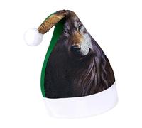 Rrtsmsgh Glitter Sequin Christmas Hat Funny Soft Xmas Cap Adult, Wolves And Dream Catchers Santa Hat for New Year Party