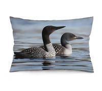 Rrtsmsgh Loon Birds Pillow Cover, Rectangle Throw Pillowcase with Hidden Zipper, Soft Plush Pillow Case for Sofa Bed, Living Room Decor, 12 "x20