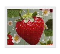 Rrtsmsgh Lovely Strawberry Diamond Painting Kits for Adults Beginners, Full Round Drill Diamond Art | DIY 5D Picture for Home Wall Decor Gem Art Gift for Women, Mom 16"x20"