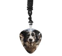 Rrtsmsgh Pastor Border Collie Guitar Pick Necklace for Men & Women, Titanium Steel Guitar Plectrum Pendant, Music Lover Gift for Guitarists, Musicians, Rock Fans