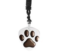 Rrtsmsgh Pawprint Guitar Pick Necklace for Men & Women, Titanium Steel Guitar Plectrum Pendant, Music Lover Gift for Guitarists, Musicians, Rock Fans