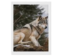 Rrtsmsgh Snow Mountain Wild Wolf Diamond Painting for Adults, Vertical Square 5D Diamond Painting Kit, DIY Full Drill Crafts Kits for Home Wall Decor, 12"x16"