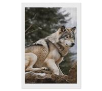 Rrtsmsgh Snow Mountain Wild Wolf Diamond Painting for Adults, Vertical Square 5D Diamond Painting Kit, DIY Full Drill Crafts Kits for Home Wall Decor, 8"x12"