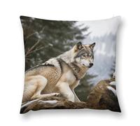 Rrtsmsgh Snow Mountain Wild Wolf Pillow Covers, Square Throw Pillow Case with Hidden Zipper, Soft Double-Sided Decorative Pillowcases for Couch Sofa Bedroom Car, 20 "x20