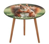 Rrtsmsgh Squirrel Funny Animal Tablecloth, Round Fitted Tablecloth with Elastic Edge, Waterproof Table Cover for Kitchen, Restaurant, Party, Patio, 130cm