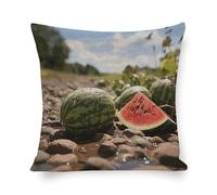 Rrtsmsgh Watermelon on The Ground Pillow Cover, Double Sided Cotton Linen Pillow Covers - Hidden Zipper Closure, Breathable Throw Pillowcase for Sofa, Bed, Couch Decor, 20"x20"