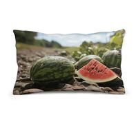 Rrtsmsgh Watermelon on The Ground Pillow Cover, Rectangle Throw Pillowcase with Hidden Zipper, Soft Plush Pillow Case for Sofa Bed, Living Room Decor, 8"x12"