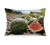 Rrtsmsgh Watermelon on The Ground Pillow Cover, Rectangle Throw Pillowcase with Hidden Zipper, Soft Plush Pillow Case for Sofa Bed, Living Room Decor, 12 "x20