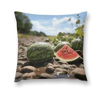 Rrtsmsgh Watermelon on The Ground Pillow Covers, Square Throw Pillow Case with Hidden Zipper, Soft Double-Sided Decorative Pillowcases for Couch Sofa Bedroom Car, 24 "x24