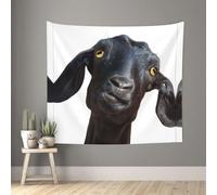 rrxnbcgg Cute Black Goat Animal Blank Wall in Soft 51"x60" Tapestry with Damage-Free Hooks for Bedroom Dorm Patio Decor