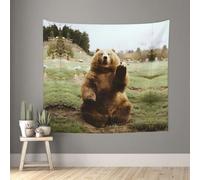 rrxnbcgg Hi Bear Sit on the lawn Blank Wall in Soft 51"x60" Tapestry with Damage-Free Hooks for Bedroom Dorm Patio Decor
