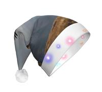 rrxnbcgg The flight of the golden eagle Flashing LED Christmas Hat with Soft Faux Fur & Pom Pom, Festive Headwear for Christmas Parties & Pub Lunches