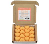 RS Wellness Summer Garden Highly Scented Wax Melts - 16 Wax Melts Gift Set - Handmade Home Fragrance - Vegan & Pet Friendly - Luxury Candle Alternative - Highly Scented Candle Gifts For Women