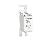 RS711B NGT00 Fast Fuse 800V~100KA 25A32A40A50A63A80A(100A)