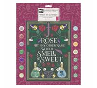 RSC Romeo & Julie Paint By Numbers Kit