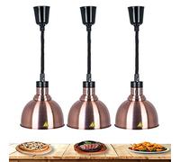 RSHJD Food Heat Lamp, Warmer Lamp Hose Retractable Food Heating Lamp High Power Commercial Hotel Kitchen Equipment Restaurant Supplies 220V 250W