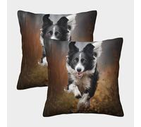 RSIUUODNF Border Collie Set of 2 Square Cushion Covers with Invisible Zipper Decorative Pillow Cases for Outdoor Home Bed Decor 45x45cm