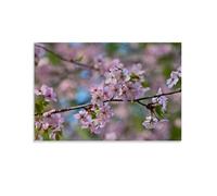 Rsliokal Festive Pink Sakura Flower Poster Canvas Art Painting Wall Decor Office Home Bar Aesthetic 24x36inch(60x90cm)