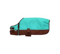 Rsmmpqa Dog Blanket Hunter Green Large (Orange Large) (Turquoise Medium)