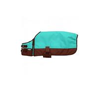 Rsmmpqa Dog Blanket Hunter Green Large (Orange Large) (Turquoise XX)