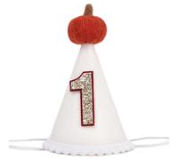 RSOLIET Little Pumpkin 1st Birthday Hat - Fall 1st Birthday Decoration, Our Little Pumpkin,Thanksgiving,boy or girl (Burnt Orange)